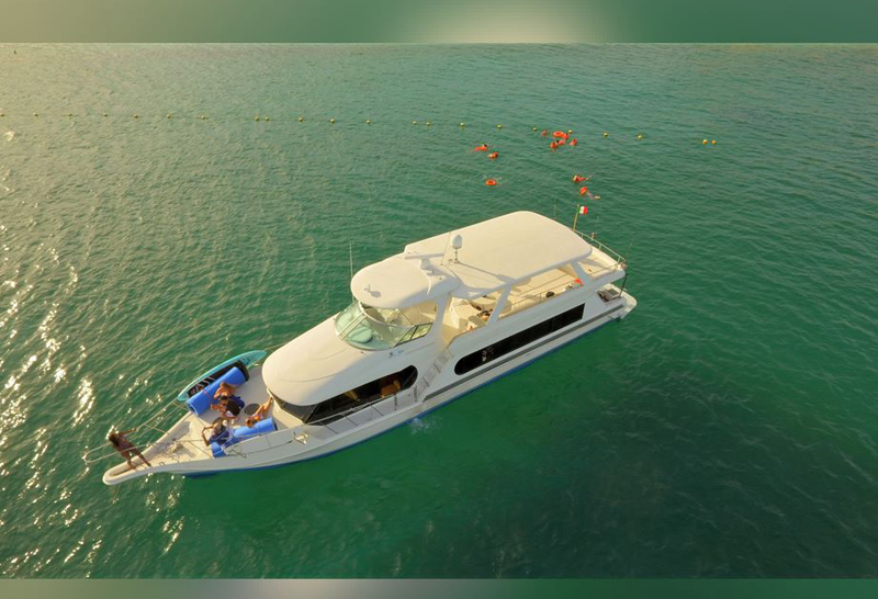  Cabo Yacht Rentals Luxury Yacht Charters