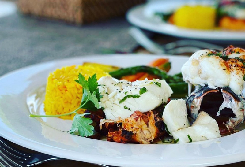 Cabo Yacht Rentals Luxury Yacht Charters